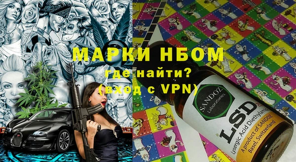 крисы Баксан