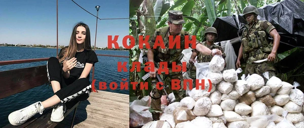 крисы Баксан