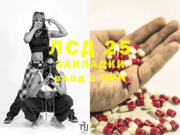 крисы Баксан
