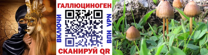 Галлюциногенные грибы мицелий  что такое   Бобров 