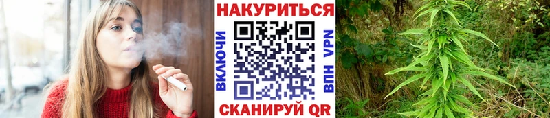 mega как зайти купить наркотики сайты дарк нет телеграм Шишки марихуана марихуана Бобров